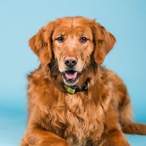 Meet your Posher, Jacki